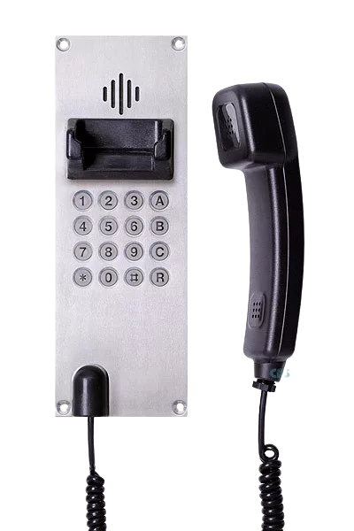 Ferntel W
